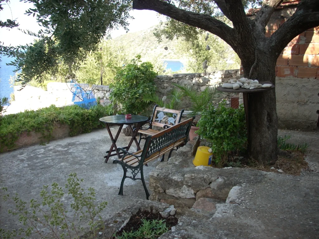 Garden seating under an olive tree at Olympia House