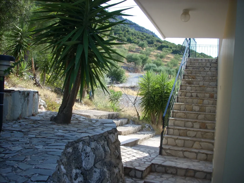 Garden steps and palm tree at Olympia House