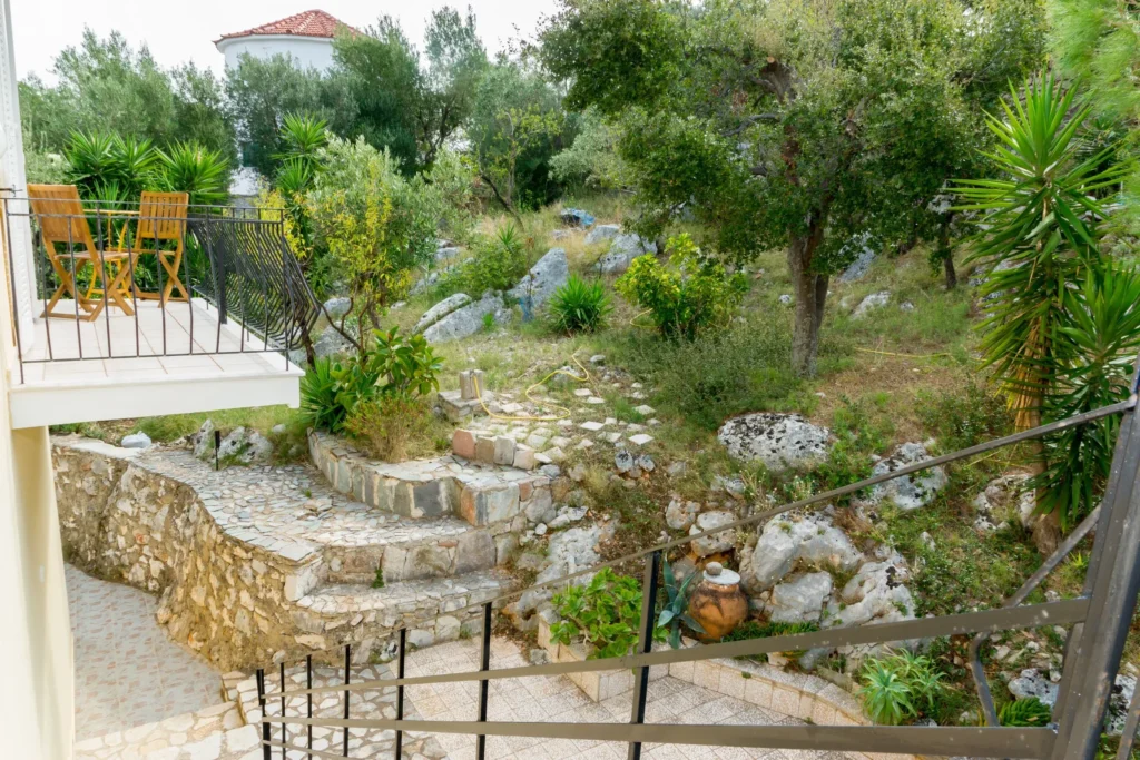 Garden with stone steps and Mediterranean plants
